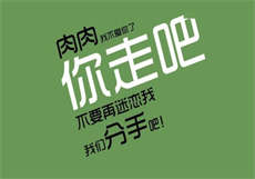 爱情公寓黄色版
